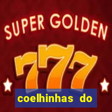 coelhinhas do brasil recife